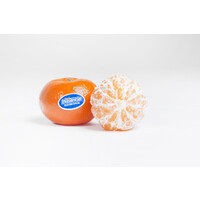 Frutas Plasencia SL logo - Similar company to Frutas Tejerina