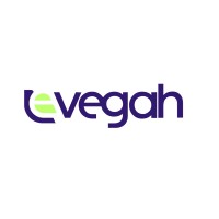 EVegah logo - Similar company to Awesome Infotech
