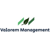 Valorem Management logo - Similar company to Dke Data Gmbh & Co. Kg
