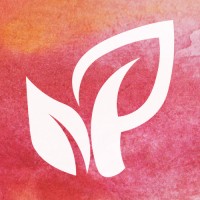 Picassia logo - Similar company to Kyber Network