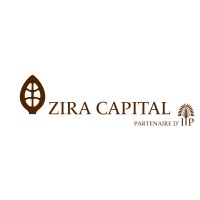Zira Capital logo - Similar company to Sinergi Niger