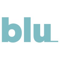 Blu Fibre logo - Similar company to Metro Optic