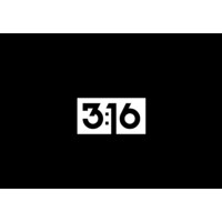 316 Land Surveying logo - Similar company to Tfg Related Entities / Fuoco Group