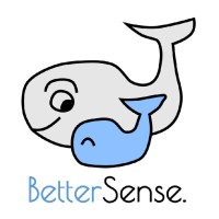 Better Sense logo - Similar company to Eyeplane