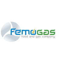 Femo Gas Spa logo - Similar company to Bws Srl