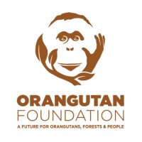 Orangutan Foundation logo - Similar company to Meta Clube
