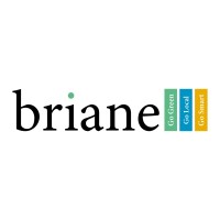 Briane Srl logo - Similar company to Bluere Srl
