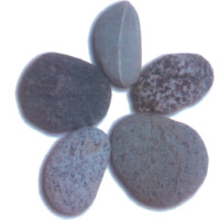 Greystone Programs, Inc. logo - Similar company to Sloop