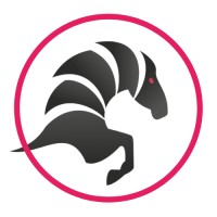 Rocín Media logo - Similar company to Zenta Pets