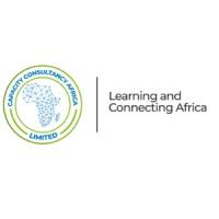 Capacity Consultancy Africa logo - Similar company to Sao Koopman