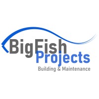 BigFish Projects logo - Similar company to Wilder Capital