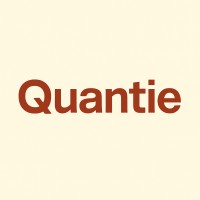 Quantie Institute of Advance Studies logo - Similar company to Magnetech (Pty) Ltd
