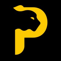 Pardus Security logo - Similar company to Veen Hosting & Security B.V.