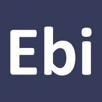 Ebiexperts logo - Similar company to Phönix Consulting