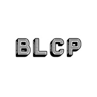 BL Consulting Partners logo - Similar company to Data360.Ru