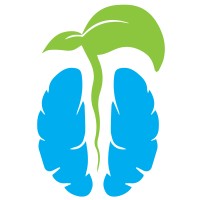 Brain Seed Occupational Therapy logo - Similar company to Action Occupational Therapy
