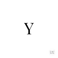 Y Capital Partners, LLC logo - Similar company to Dgf Advisors