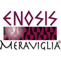 Enosis Meraviglia Srl logo - Similar company to In3Diagnostic