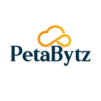 PetaBytz Technologies Inc logo - Similar company to Bluebix Solutions
