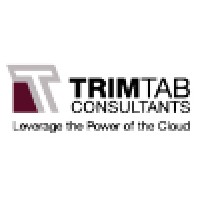 Trimtab Consultants LLC A NetSuite Consultancy logo - Similar company to Cloud Systems Consulting Ltd. (Netsuite)