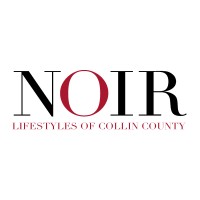 Noir Lifestyles logo - Similar company to Reach Beyond Solutions