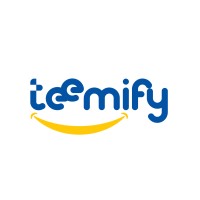 TEEMiFY logo - Similar company to Sinnonteq It Consulting
