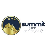 Summit Life logo - Similar company to Vnq Systems