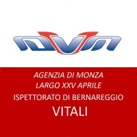 DVM Bernareggio Vitali logo - Similar company to Dvm Pets Health