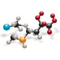 Lido Pellizzer logo - Similar company to Studio Alessio - Dr. Franco Alessio