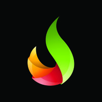 Greenlight Designs