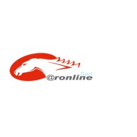 Caronline logo - Similar company to Motor Clube Do Estoril
