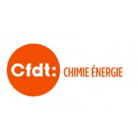 CFDT Chimie Énergie logo - Similar company to Fgmm Cfdt