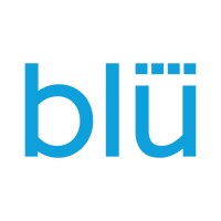 Blu logo - Similar company to Reflex Blue