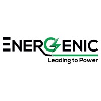 Energenic Batteries logo - Similar company to Brain Recharge