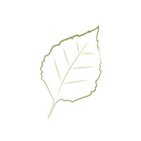 Floating Leaf Studios