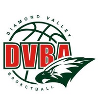 Diamond Valley Basketball Association logo - Similar company to Sporting Code