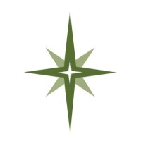 Diamond Star Canna