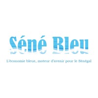 Séné Bleu logo - Similar company to Mouride Web