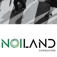 Noiland Consulting logo - Similar company to Rising Pineapples