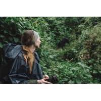Wild Love Expedition logo - Similar company to Wild Around