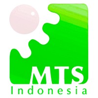 MTS Indonesia logo - Similar company to Pt. Mts Logistic Indonesia