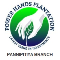 Power Hands Plantation - Pannipitiya Branch logo - Similar company to Ipo Sg