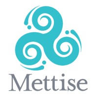 The Mettise Group logo - Similar company to Enroll In Email365