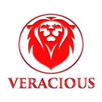 Veracious IT Solutions logo - Similar company to Grow India Tech