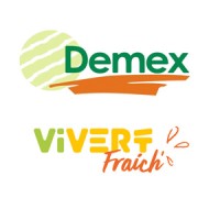 Vivert, Groupe DEMEX logo - Similar company to Vivert