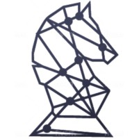 Darkhorse Solutions logo - Similar company to Timonator