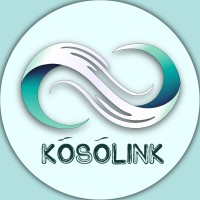 KõsõLink logo - Similar company to Levelstair
