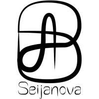 Seijanova, Inc. logo - Similar company to Remade Usa