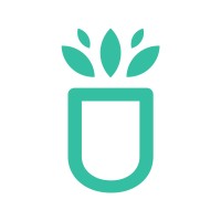 Succulents Box logo - Similar company to Digisale