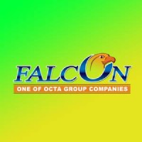 Falcon Export & Import logo - Similar company to Urgesolution